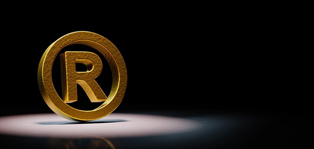 Quem pode usar o ® de marca registrada?