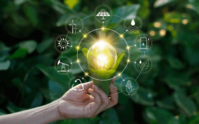 O que é Patente Verde? Entenda o conceito, os benefícios e os requisitos para obter a sua